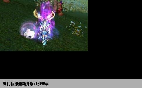 蜀门私服最新开服sf那些事